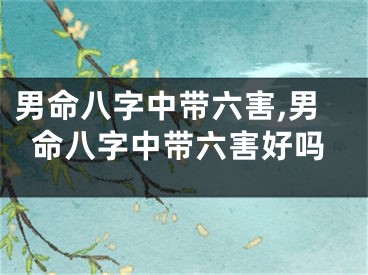 男命八字中带六害,男命八字中带六害好吗