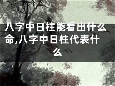 八字中日柱能看出什么命,八字中日柱代表什么