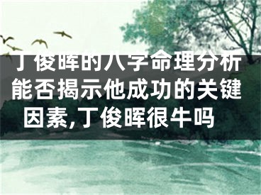 丁俊晖的八字命理分析能否揭示他成功的关键因素,丁俊晖很牛吗