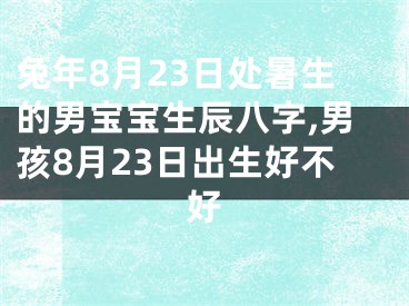 兔年8月23日处暑生的男宝宝生辰八字,男孩8月23日出生好不好