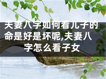 夫妻八字如何看儿子的命是好是坏呢,夫妻八字怎么看子女