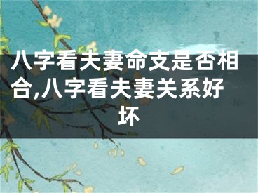 八字看夫妻命支是否相合,八字看夫妻关系好坏