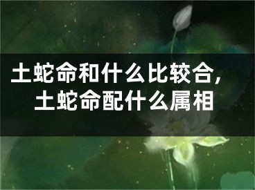 土蛇命和什么比较合,土蛇命配什么属相