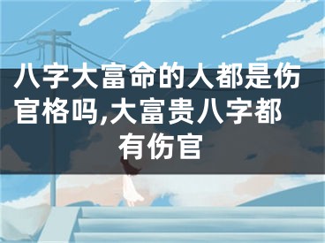 八字大富命的人都是伤官格吗,大富贵八字都有伤官