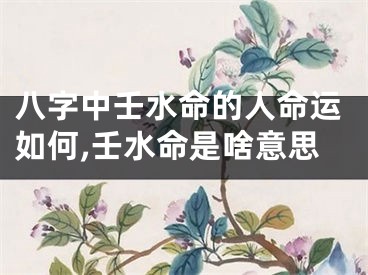 八字中壬水命的人命运如何,壬水命是啥意思