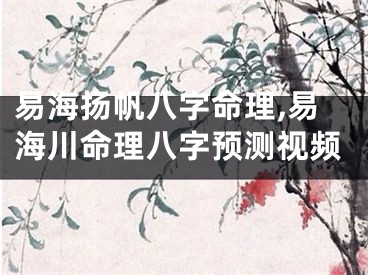 易海扬帆八字命理,易海川命理八字预测视频