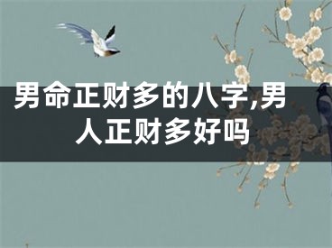 男命正财多的八字,男人正财多好吗