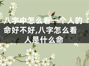八字中怎么看一个人的命好不好,八字怎么看人是什么命