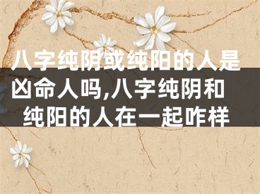 八字纯阴或纯阳的人是凶命人吗,八字纯阴和纯阳的人在一起咋样