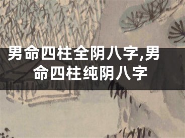 男命四柱全阴八字,男命四柱纯阴八字