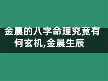 金晨的八字命理究竟有何玄机,金晨生辰