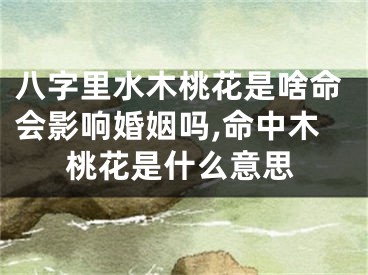八字里水木桃花是啥命会影响婚姻吗,命中木桃花是什么意思