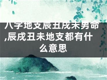 八字地支辰丑戌未男命,辰戌丑未地支都有什么意思