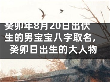 癸卯年8月20日出伏生的男宝宝八字取名,癸卯日出生的大人物