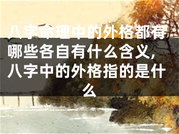 八字命理中的外格都有哪些各自有什么含义,八字中的外格指的是什么