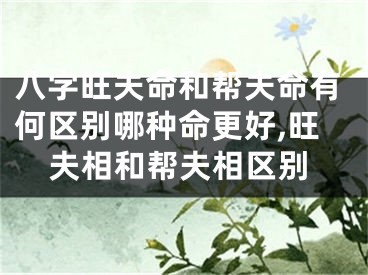 八字旺夫命和帮夫命有何区别哪种命更好,旺夫相和帮夫相区别