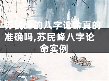 苏民峰的八字论命真的准确吗,苏民峰八字论命实例