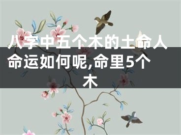 八字中五个木的土命人命运如何呢,命里5个木