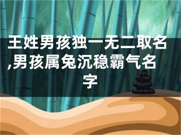王姓男孩独一无二取名,男孩属兔沉稳霸气名字