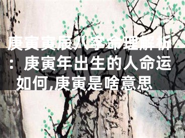 庚寅寅辰八字命理解析：庚寅年出生的人命运如何,庚寅是啥意思
