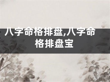 八字命格排盘,八字命格排盘宝