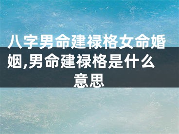 八字男命建禄格女命婚姻,男命建禄格是什么意思