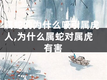 属蛇的为什么吸引属虎人,为什么属蛇对属虎有害