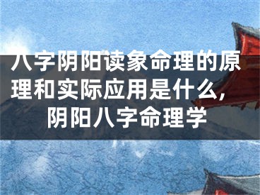 八字阴阳读象命理的原理和实际应用是什么,阴阳八字命理学