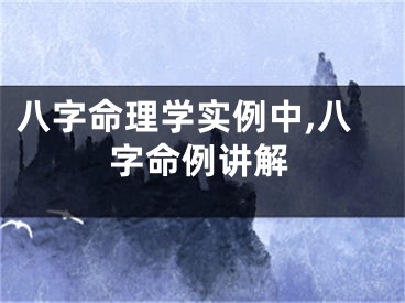 八字命理学实例中,八字命例讲解