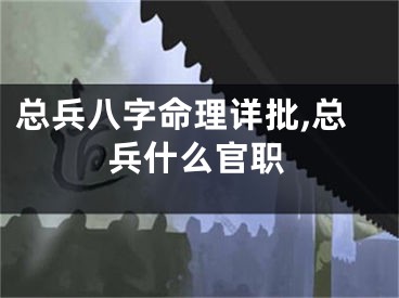 总兵八字命理详批,总兵什么官职