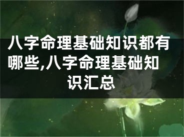 八字命理基础知识都有哪些,八字命理基础知识汇总