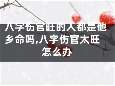 八字伤官旺的人都是他乡命吗,八字伤官太旺怎么办