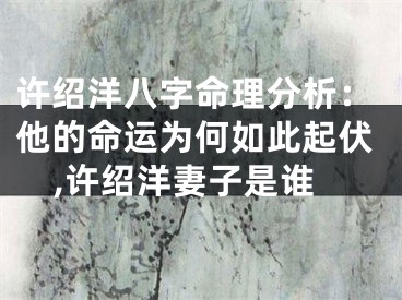 许绍洋八字命理分析：他的命运为何如此起伏,许绍洋妻子是谁