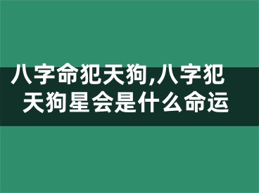 八字命犯天狗,八字犯天狗星会是什么命运