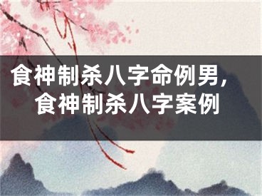 食神制杀八字命例男,食神制杀八字案例