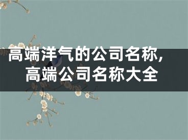 高端洋气的公司名称,高端公司名称大全
