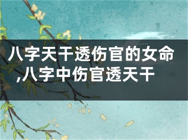 八字天干透伤官的女命,八字中伤官透天干