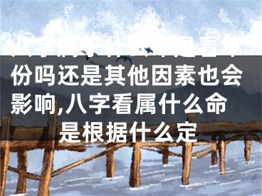 八字属于什么命是看年份吗还是其他因素也会影响,八字看属什么命是根据什么定