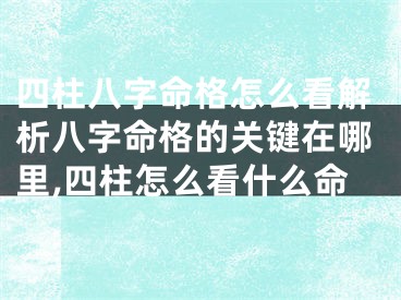 四柱八字命格怎么看解析八字命格的关键在哪里,四柱怎么看什么命