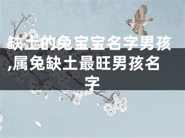缺土的兔宝宝名字男孩,属兔缺土最旺男孩名字