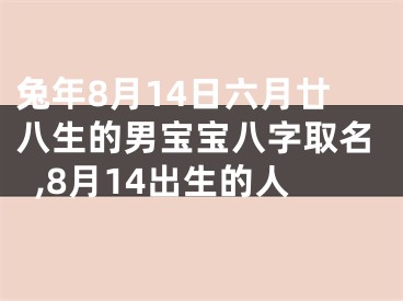 兔年8月14日六月廿八生的男宝宝八字取名,8月14出生的人