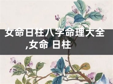 女命日柱八字命理大全,女命 日柱