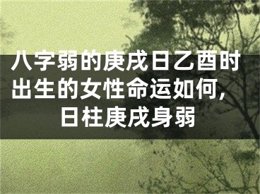 八字弱的庚戌日乙酉时出生的女性命运如何,日柱庚戌身弱