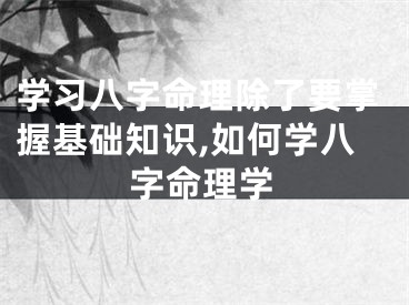 学习八字命理除了要掌握基础知识,如何学八字命理学