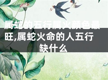属蛇的五行属火颜色最旺,属蛇火命的人五行缺什么