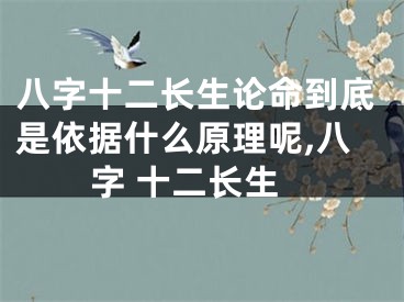 八字十二长生论命到底是依据什么原理呢,八字 十二长生