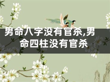 男命八字没有官杀,男命四柱没有官杀