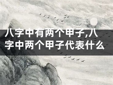 八字中有两个甲子,八字中两个甲子代表什么