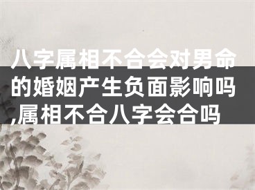 八字属相不合会对男命的婚姻产生负面影响吗,属相不合八字会合吗