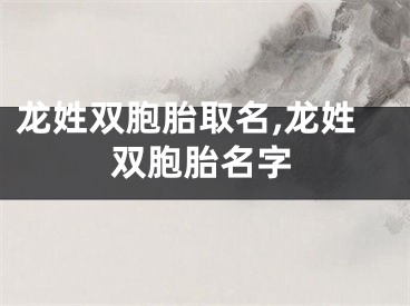 龙姓双胞胎取名,龙姓双胞胎名字